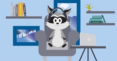 Blog_New-Work-Concept_Remote-Racoon