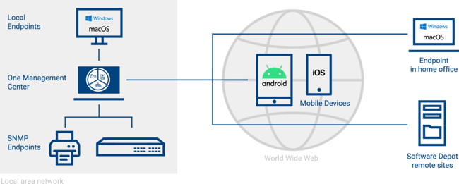 bMs endpoints