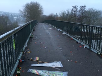 New-years-day-2015wuerzburg-litter