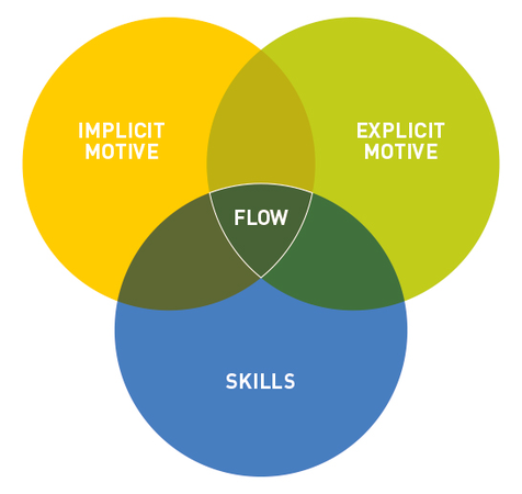 From Kehr, H. M. (2004): Integrating Implicit Motives, Explicit Motives, and Perceived Abilities: The Compensatory Model of Work Motivation and Volition. P. 479-499