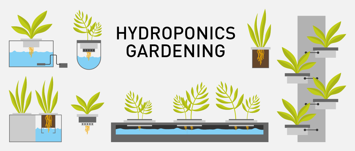 hydroponics-gardening